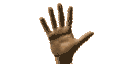 eine Hand